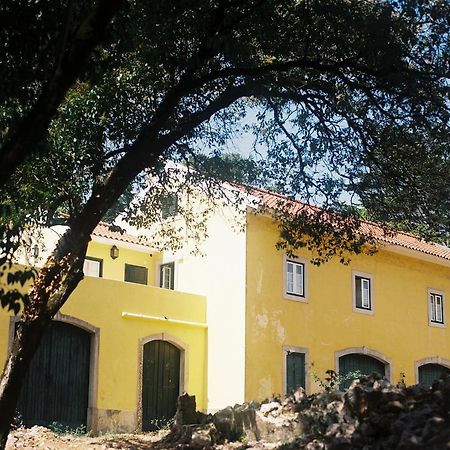 The Five House Sintra Exterior foto