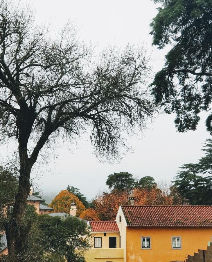 The Five House Sintra Exterior foto
